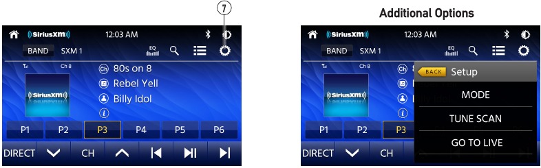 SiriusXM-satellietradio - Extra opties