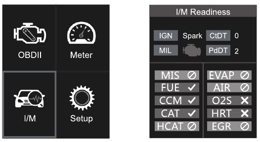 I/M