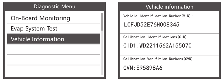 Voertuiginfo