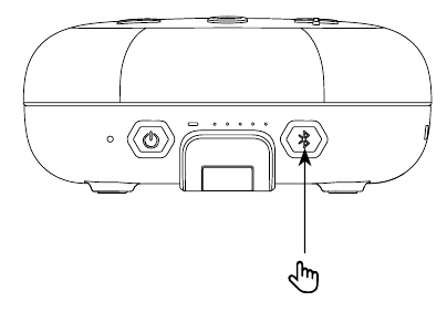 Stereomodus