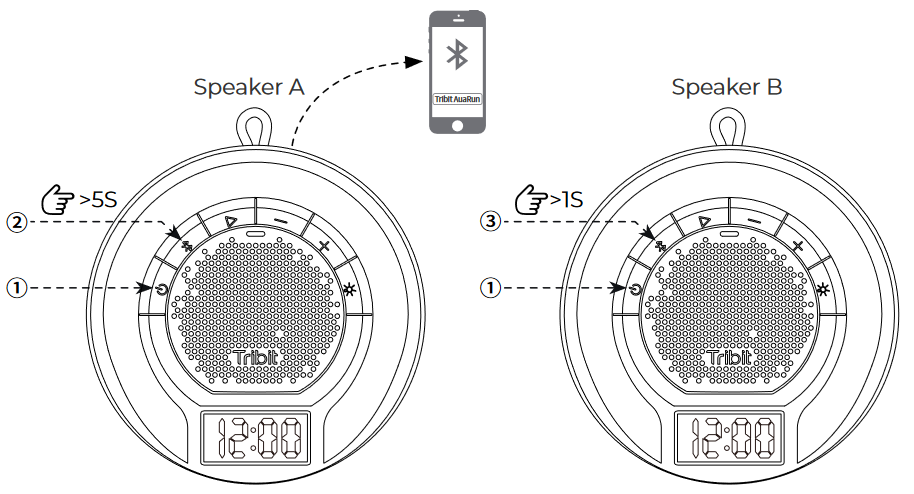 Stereomodus