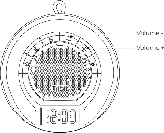 Volume 