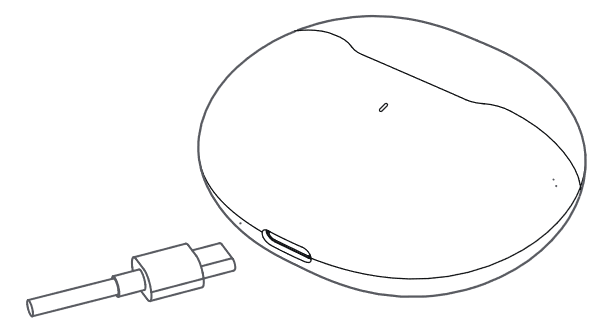 Opladen met oplaadbox