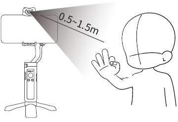 Gesture Control