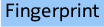 Vingerafdruk