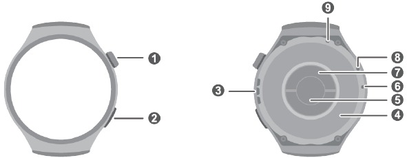 Uiterlijk - HUAWEI WATCH 4 Pro