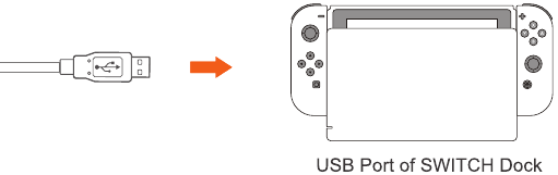 Verbinding met SWITCH Dock