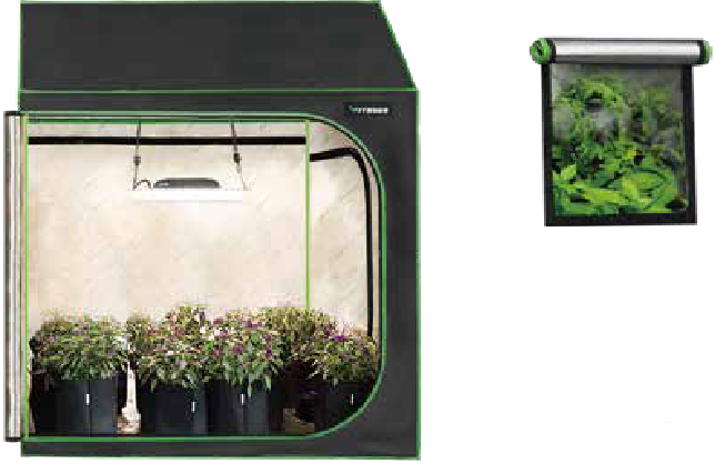 Roof Tent