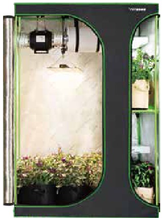 2-in-1 tent