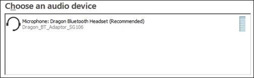 Gebruiken met Dragon NaturallySpeaking/Professional