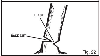 BOMEN VELLEN - Stap 3
