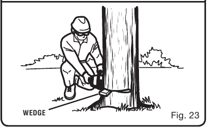 BOMEN VELLEN - Stap 4