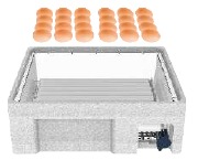 eieren in incubator
