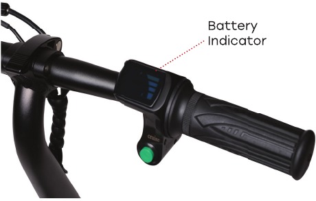 ACCU-INDICATOR