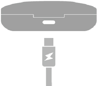 Oplaadcase opladen