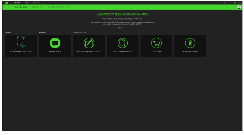 SYNAPSE 3 - DASHBOARD