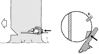Een normale boom met grote diameter vellen - Stap 2