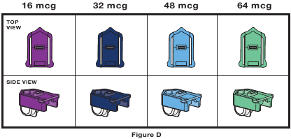 Patroonvariaties