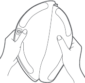 dweilpad