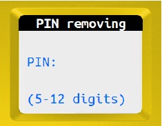 PIN invoeren
