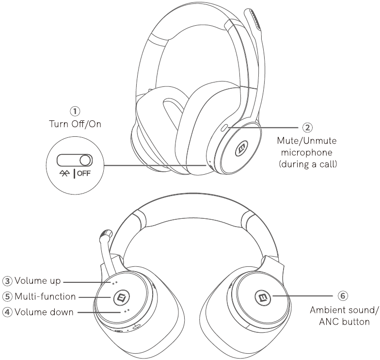 Overzicht