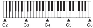 De keyboard bespelen - Naamnotities