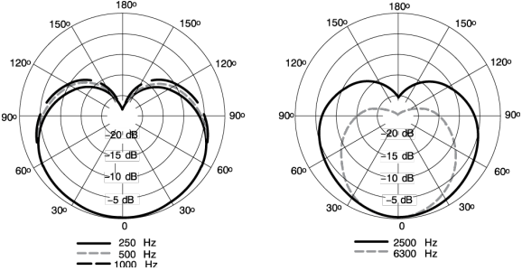 Specificaties - Typisch polair patroon