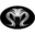 www.venom-ev.com
