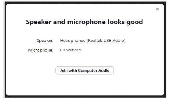 zoom computeraudio