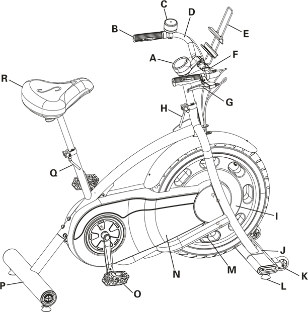 Kenmerken