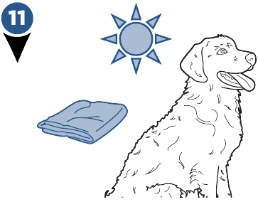 Uw hond wassen - Stap 8