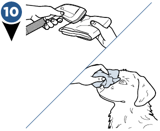 Uw hond wassen - Stap 7