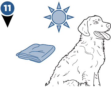 Uw hond wassen - Stap 8
