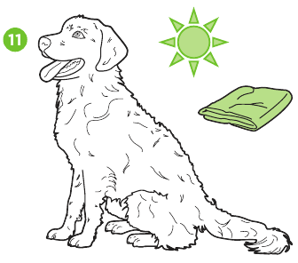 UW HOND WASSEN - Stap 8