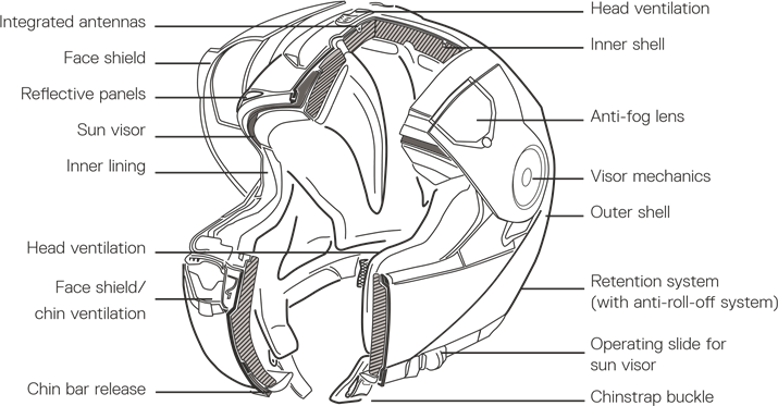 ANATOMIE VAN DE HELM