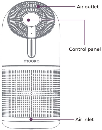 UITERLIJKDIAGRAM