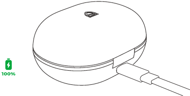 De oplaadcase opladen