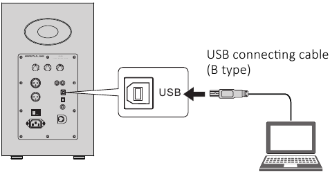 Gebruik in USB-ingangsmodus