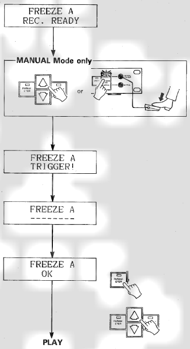 FREEZE operation - Part 2