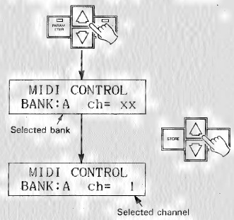 NUTSFUNCTIES - MIDI-bank & kanaal programmeren