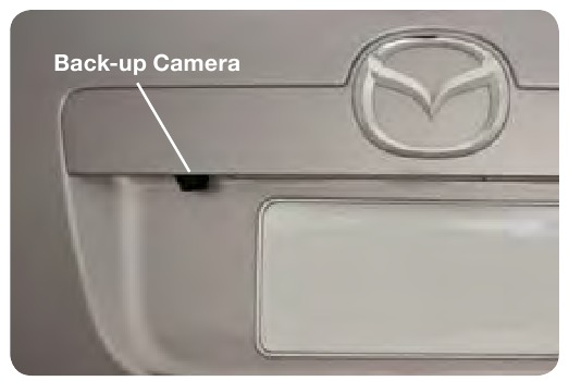 ACHTERUITRIJCAMERA
