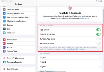 Touch ID-gebruiksopties op iPad