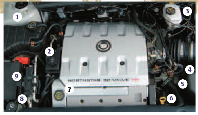 Onderhoud MOTOR - RUIMTE