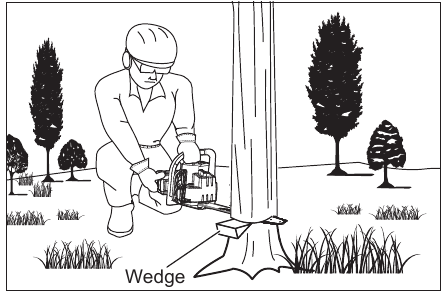 Bomen vellen - Stap 3