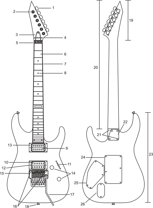 GITAAR ANATOMIE
