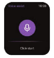 Voice Assistant
