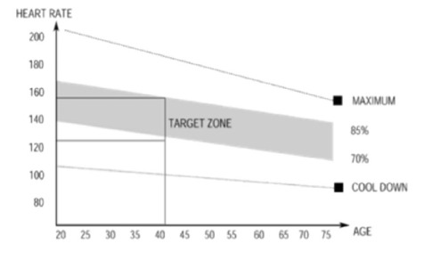 INFORMATIE OVER HET TRAINEN - Stap 2