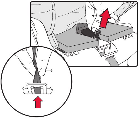 Harnasgesp - De harnasgesp verwijderen - Stap 2