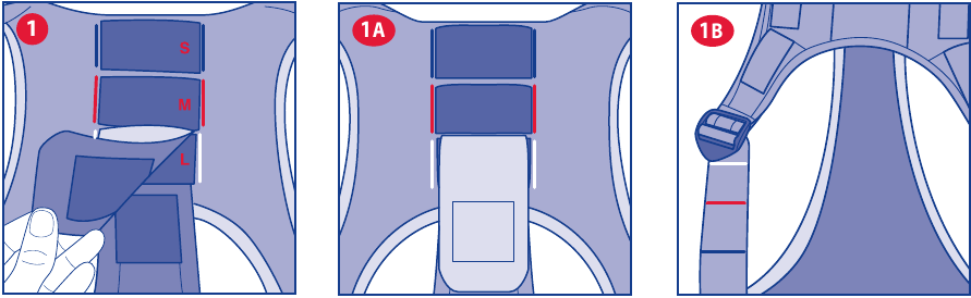 AANPASSING VAN HET TUIG VOOR DRAGEN MET GEZICHT NAAR DE OUDER/MET GEZICHT NAAR VOREN - Stap 1