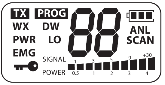 LCD